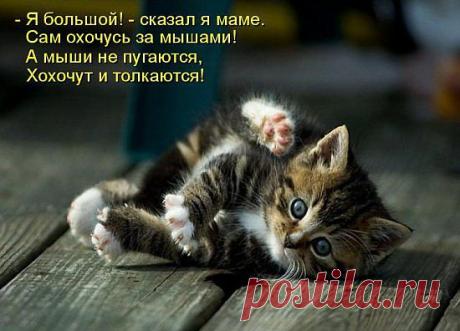 чудо природы.....)))