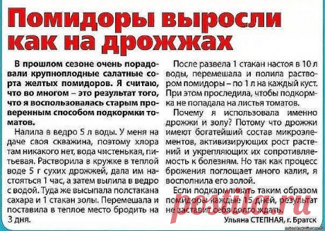 Сохранённые фотографии | 7 572 фотографии