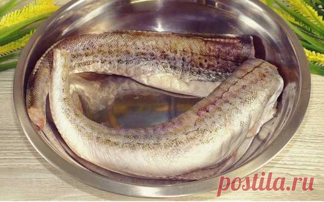 Не успеваю покупать минтай после того, как узнала «Сливочный» рецепт: намного вкуснее жареного - Вкусняшки Просматривайте этот и другие пины на доске Еда и напитки пользователя S.
Теги
Не успеваю покупать минтай после того, как узнала 