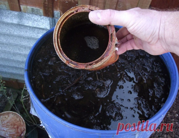 Рецепт удобрения, пользуюсь уже года четыре. Очень здорово!

Много лет назад в моде были японские бактерии, у нас это