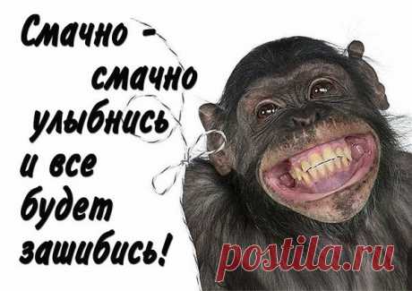 Давненько мы не улыбались!
