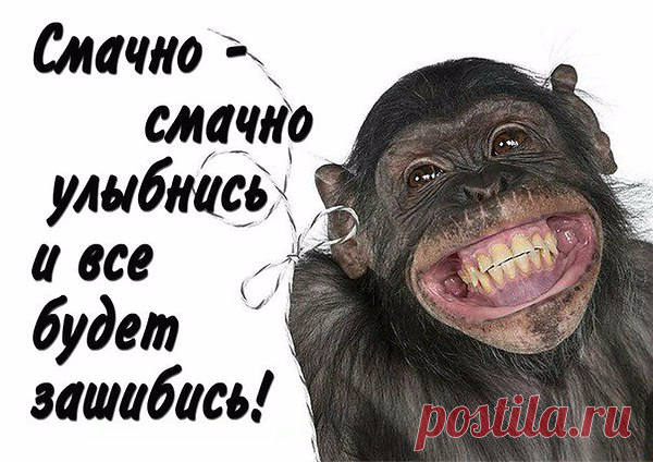 Давненько мы не улыбались!