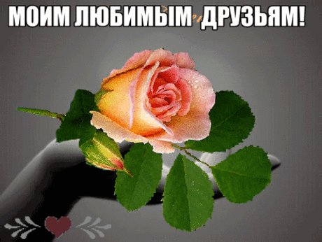 445756191515459.gif (440×331)