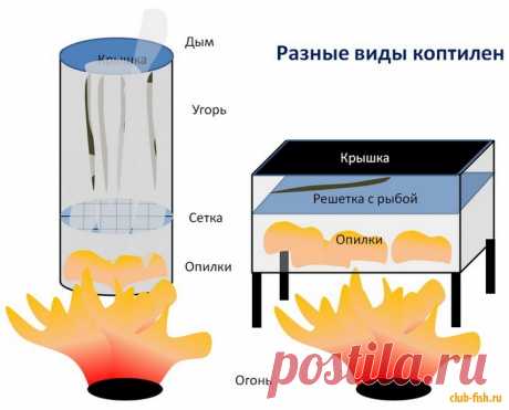 Как закоптить угря – Рыбалка - Информационно развлекательный портал