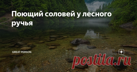 Поющий соловей у лесного ручья