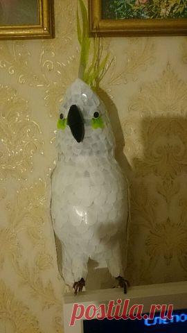 Вторая жизнь пластиковой бутылки
Антонина Макарова