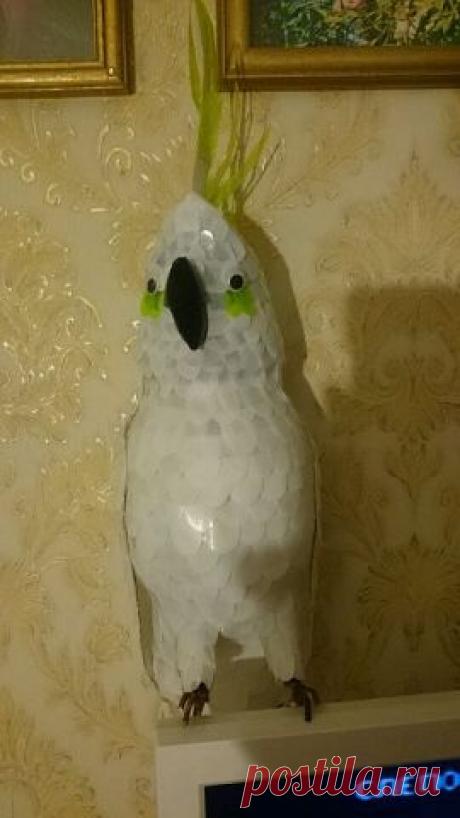 Вторая жизнь пластиковой бутылки
Антонина Макарова