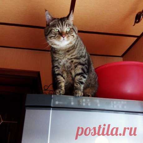 Макс на стреме