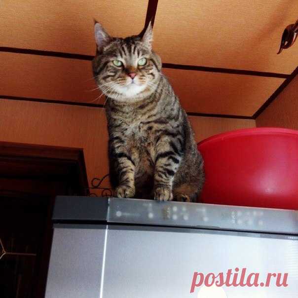 Макс на стреме