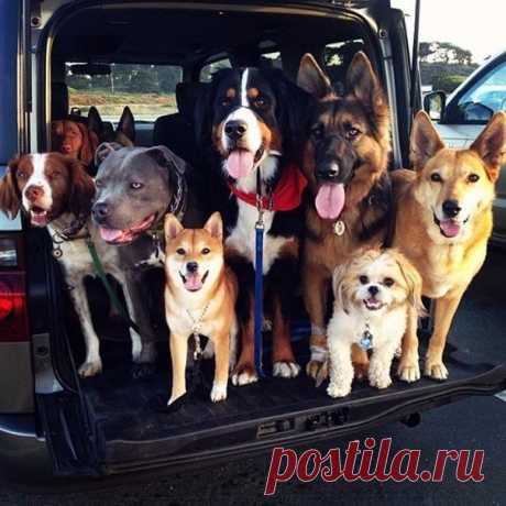 Шикарная компания.
