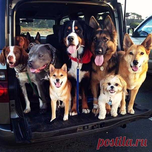 Шикарная компания.