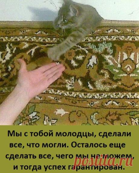 Мировые секреты | Яндекс Дзен