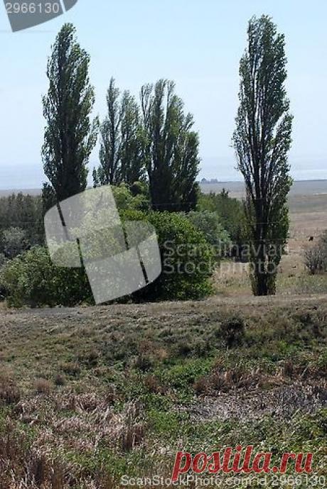 ScandinavianStockPhoto.com