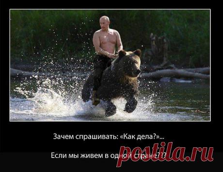 Интересные новости