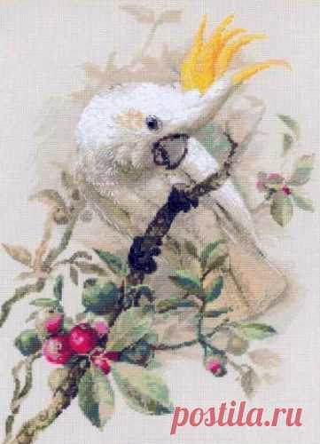Вышивка «Белый какаду» | Скачать схему бесплатно