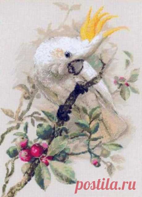 Вышивка «Белый какаду» | Скачать схему бесплатно