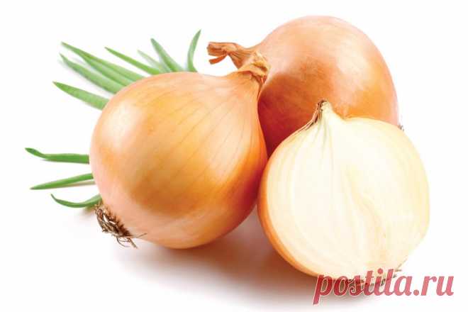 7 растений, понижающих давление