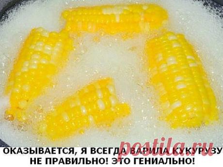 Оказывается, я всегда варила кукурузу не правильно! Это гениально!

Початки, обязательно, разламываем пополам.Бросаем половинки початков в кастрюлю и заливаем водой.Как только вода закипит, добавьте в кастрюлю 1 чашку молока и 1 приличный кусочек масла.Кукуруза должна покипеть еще 8 минут. И все готово!Готовые початки посыпьте солью.Кукуруза получается маслянистого вкуса и очень вкусной.