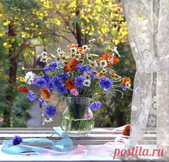 Приложение "Открытки"
Мария Карпачева