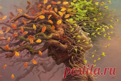 Правила, которые навсегда изменят твою жизнь - Brainum