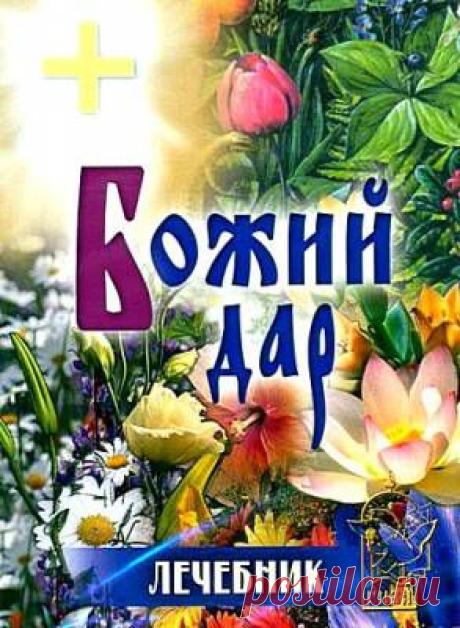 Видео. Божий дар. Лечебник.