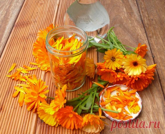 УНИКАЛЬНАЯ КАЛЕНДУЛА - ОТ ПРЫЩЕЙ, ОТ АНГИНЫ И ДРУГИХ БОЛЕЗНЕЙ Лекарственные ноготки – известные нам больше под названием календула – по праву занимают первое почетное место среди целебных трав. Яркие оранжево-желтые цветки и липкие бархатистые листики заключают в себе универсальную и очень мощную живительную силу. Применяется календула от прыщей, помогает заживлять раны, является основой для спринцевания и снимает симптомы ангины. На самом деле, календула — поистине удивит...