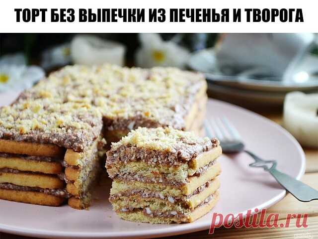Торт без выпечки из печенья и творога
Ингредиенты:
Печенье — 500 Грамм
Творог — 500 Грамм
Сливочное масло — 120 Грамм
Сахар — 150 Грамм
Молоко — 1 Стакан
Какао-порошок — 2 Ст. ложки
Количество порций: 4-6