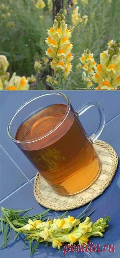 Кому поможет Льнянка