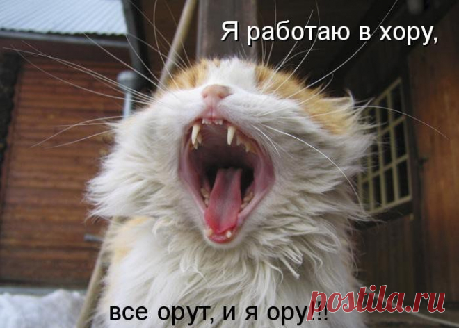 Плейкаст «Леонид Агранович.Песня о кошках»