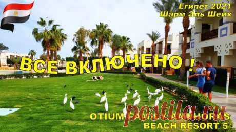 ВСЕ ВКЛЮЧЕНО ! OTIUM FAMILY Amphoras Hotel 5   Египет Шарм Эль Шейх 2021