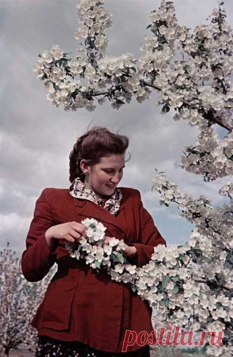 1950-е в цветных фотографиях / Назад в СССР / Back in USSR