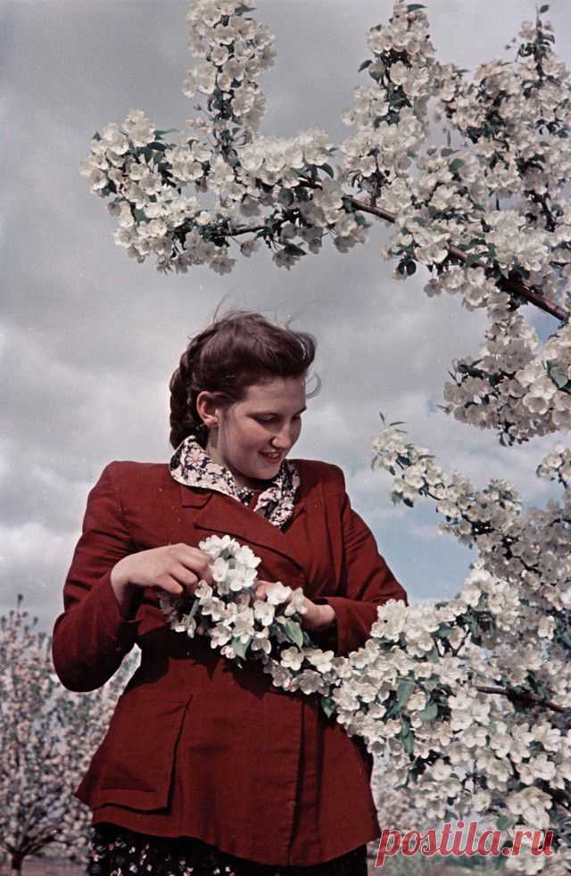 1950-е в цветных фотографиях / Назад в СССР / Back in USSR