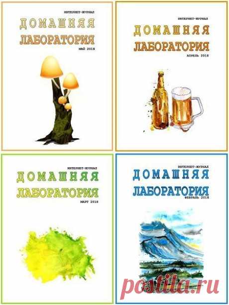 Подшивка журнала - Домашняя лаборатория №1-12 (январь-декабрь 2018) DjVu. Архив 2018 Подшивка журнала - Домашняя лаборатория за 2018 год! «Домашняя лаборатория» — это весьма большой и увлекательный, научно-прикладной и образовательный, но некоммерческий интернет-журнал, созданный группой энтузиастов. Интернет-журнал содержит материалы, найденные в Интернет или написанные для