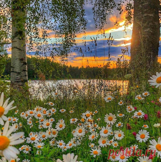 Я — русский.
Я из той породы,
Чья кровь смешалась
С небом и травой.
Чьи прадеды в зеленый храм
Природы
Входили с непокрытой головой.
(Андрей Дементьев)