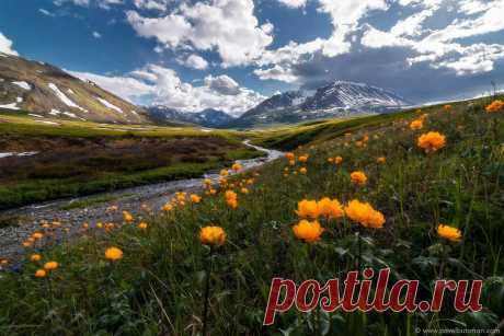 пейзажи горного алтая фото: 2 тыс изображений найдено в Яндекс.Картинках
