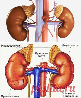 Одноклассники