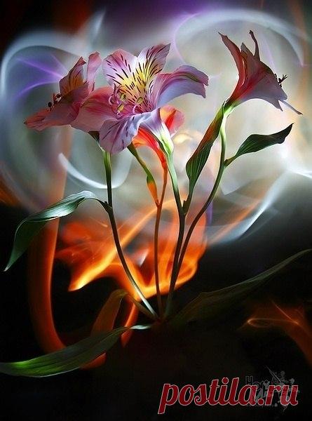 Не завидуй тому, кто силён и богат.
За рассветом всегда наступает закат.
С этой жизнью короткою, равною вздоху,
Обращайся, как с данной тебе напрокат.
Омар Хайям