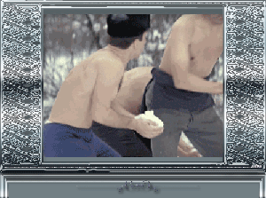 Джентельмены удачи