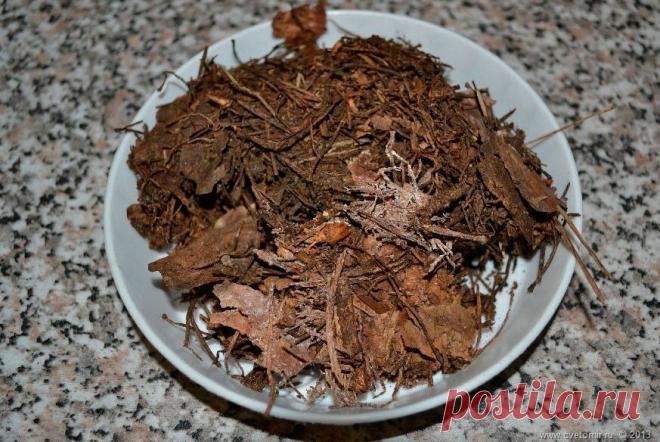 💓8 видов органической мульчи и обзор моей любимой. Некоторую зимой откладываю, а весной использую | Любимая Дача. Сад и Огород | Дзен