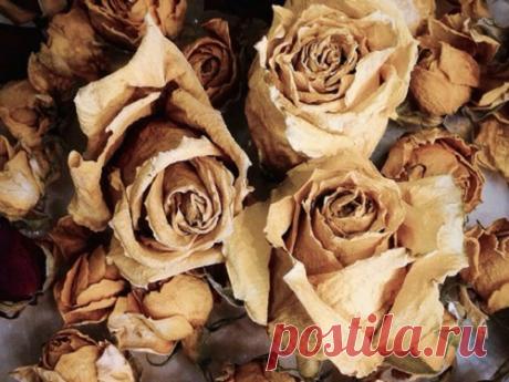 Кровать напротив зеркала, сухие цветы в спальне и еще 3 способа испортить энергетику дома Домашняя энергетика очень важна. Если она позитивна и сильна, то люди, живущие в таком помещении, будут меньше болеть, чаще смогут встречать на своем пути удачу и будут иметь стабильное хорошее настроение.