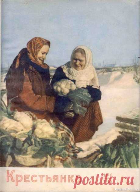 Журнал "Крестьянка" 1955 год | Разговоры на любые темы