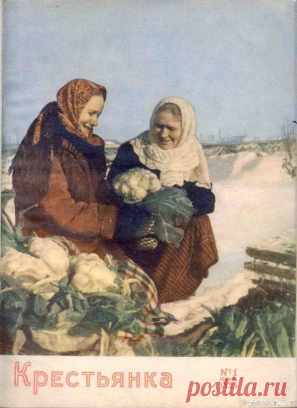 Журнал 