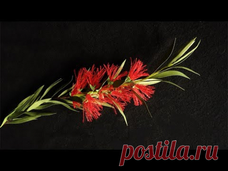 ABC TV | Как сделать бумажный цветок Callistemon Citrinus - учебник по ремеслу