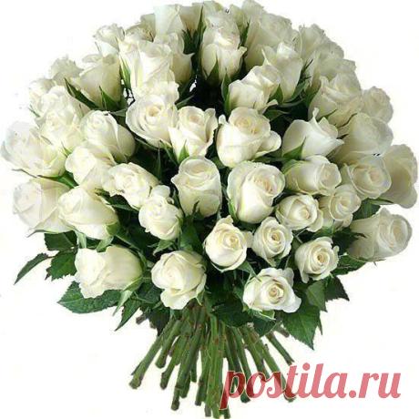 Букет белых роз