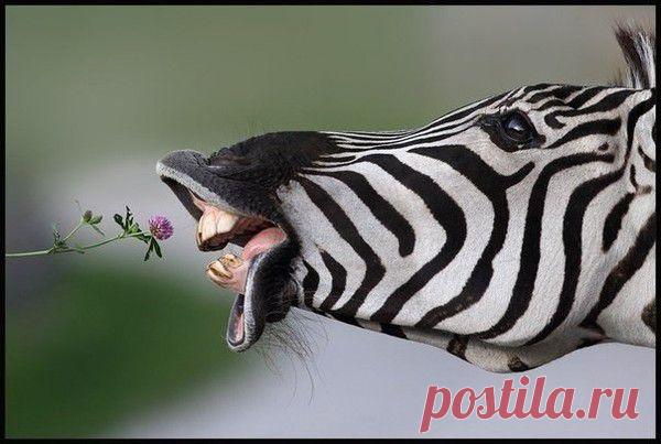 Фотографии Это интересно! | 5109  | Группы Мой Мир