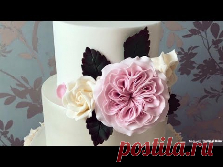 How To Make A David Austin Sugar Rose Using Modelling Paste