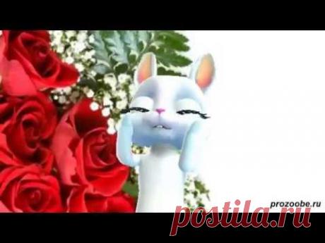 ПОЗДРАВЛЕНИЕ С ДНЕМ РОЖДЕНИЯ Женщине – Поздравления от Зайки Домашней Хозяйки