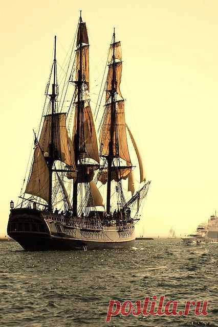 Tall ship. | Tall Ships