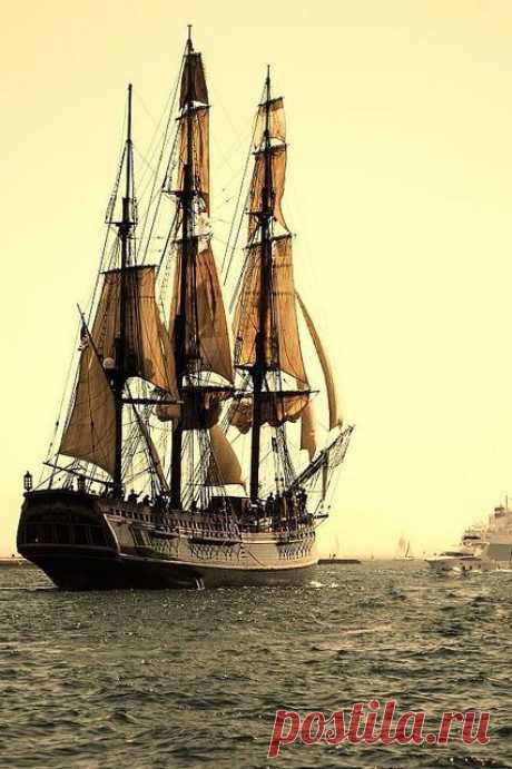 Tall ship. | Tall Ships