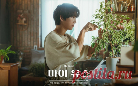 Самые ожидаемые корейские дорамы, которые выйдут в сентябре | Книги и фильмы для души | Дзен